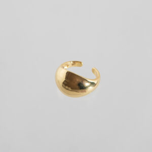 Anillo 2