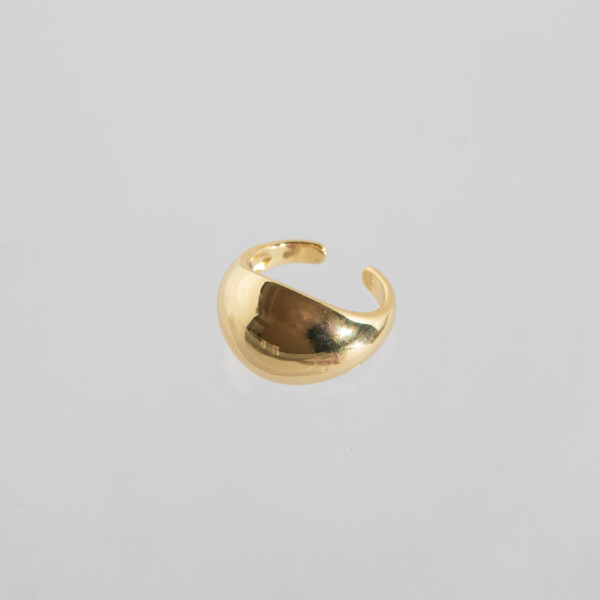 Anillo 2