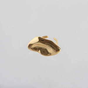 Anillo 1