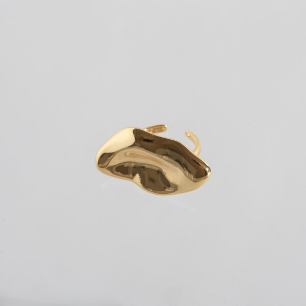 Anillo 1